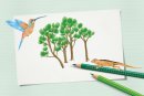 Faber-Castell bewirtschaftet 8.200 Hektar Wald in Brasilien und veröffentlicht im Geschäftsjahr 2024/25 aktuelle Kennzahlen zu Energie, Rohstoffen und sozialen Projekten.