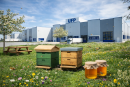 Vor dem UFP-Standort wurden zwei Bienenvölker angesiedelt, die auf Streuobstwiese und Blühflächen ideale Bedingungen finden.